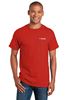 Picture of T-Shirt - Men's