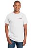 Picture of T-Shirt - Men's