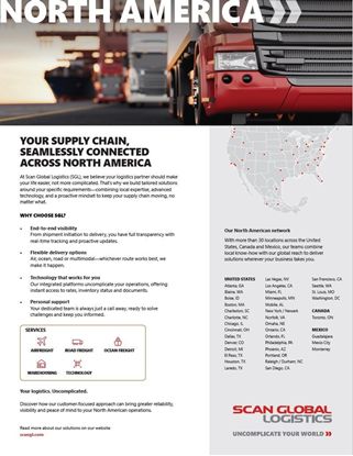 Picture of Flyer - NorAm Domestic