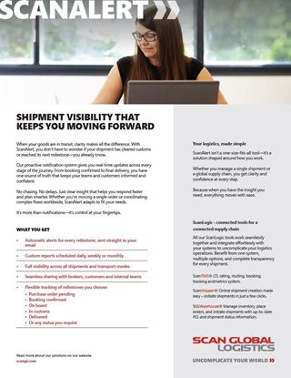 Picture of Flyer - ScanAlert